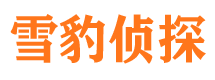 永红侦探公司